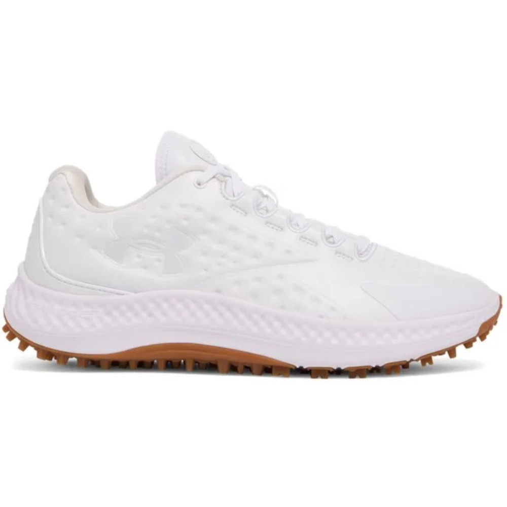 Under Armour Men's Curry 1 Golf Shoes - Maple Hill Golf